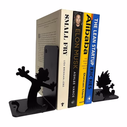 Calvin and Hobbes Decorative Bookends1