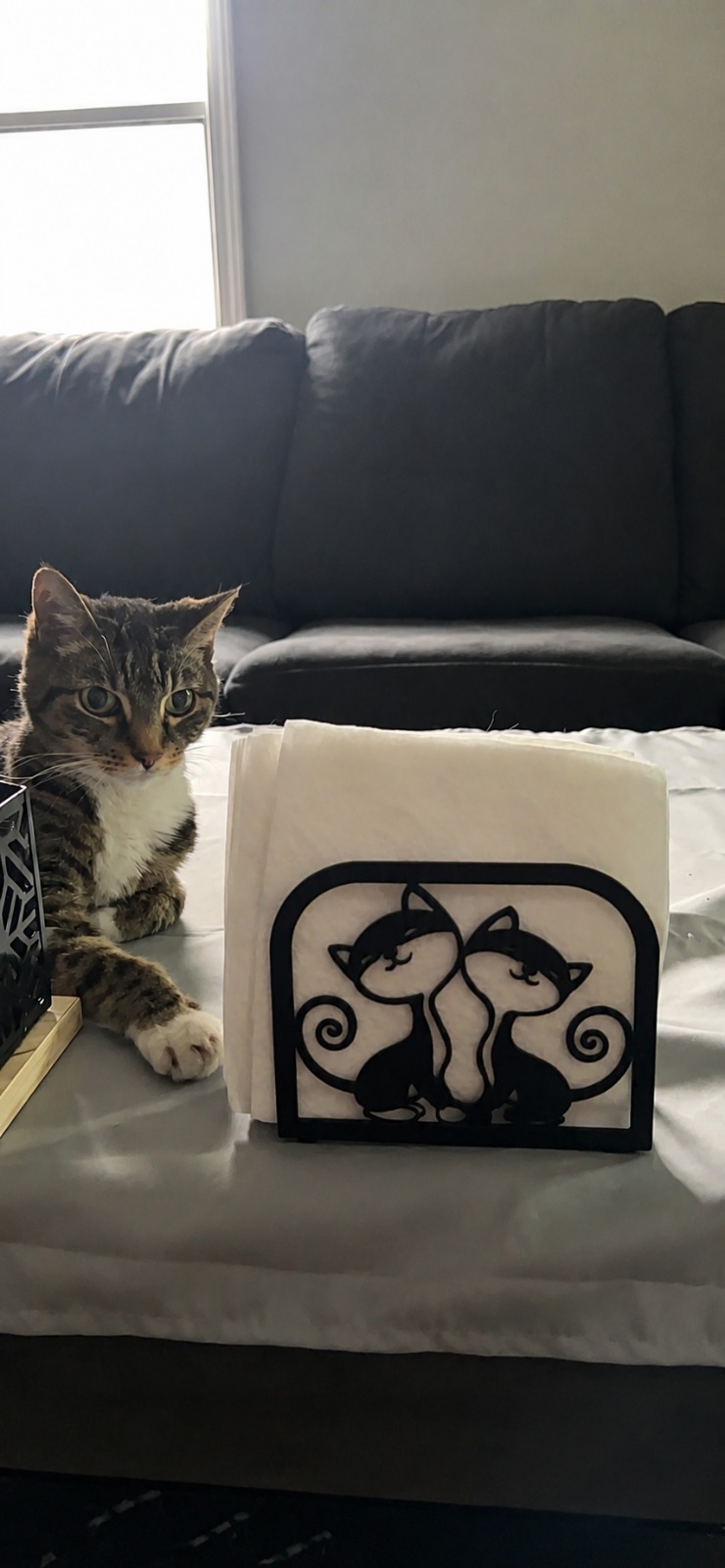 Napkin Holder Home Image